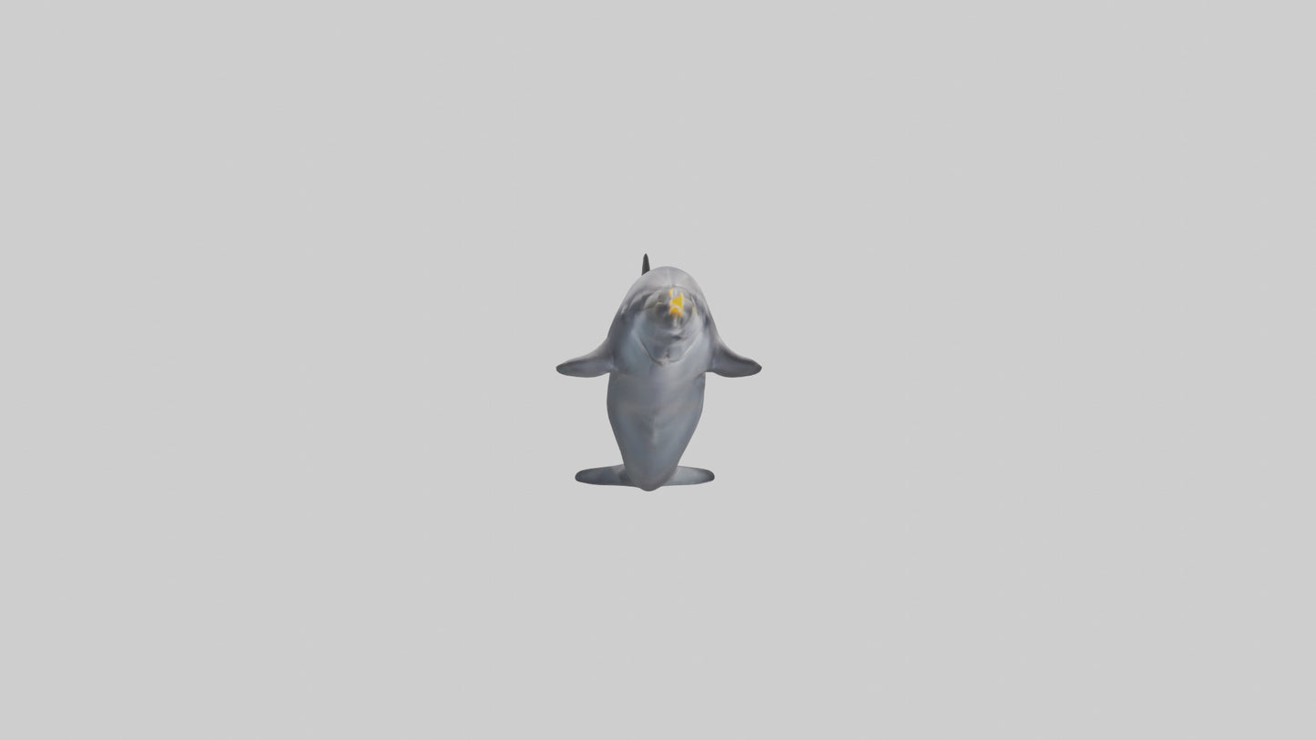 3D model Dolphin Fluke VR / AR / low-poly