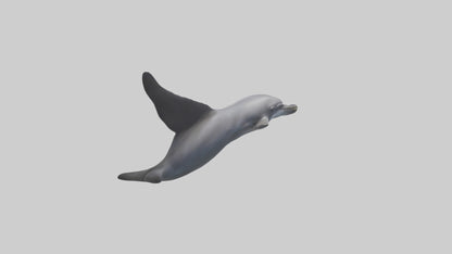 3D model Dolphin Fluke VR / AR / low-poly