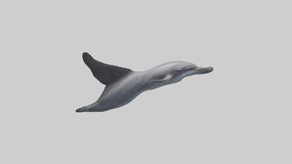 3D model Dolphin Fluke VR / AR / low-poly