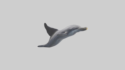 3D model Dolphin Fluke VR / AR / low-poly