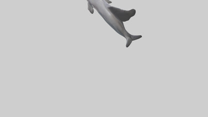 3D model Dolphin Fluke VR / AR / low-poly