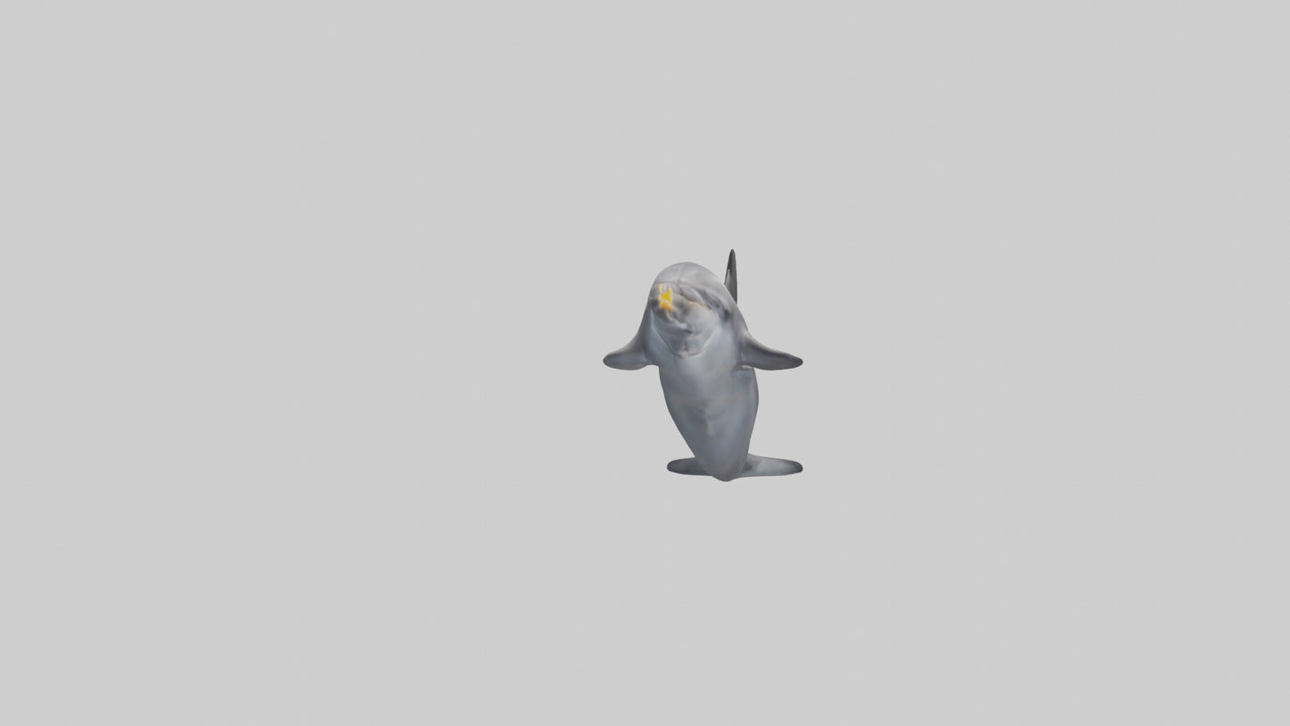 3D model Dolphin Fluke VR / AR / low-poly
