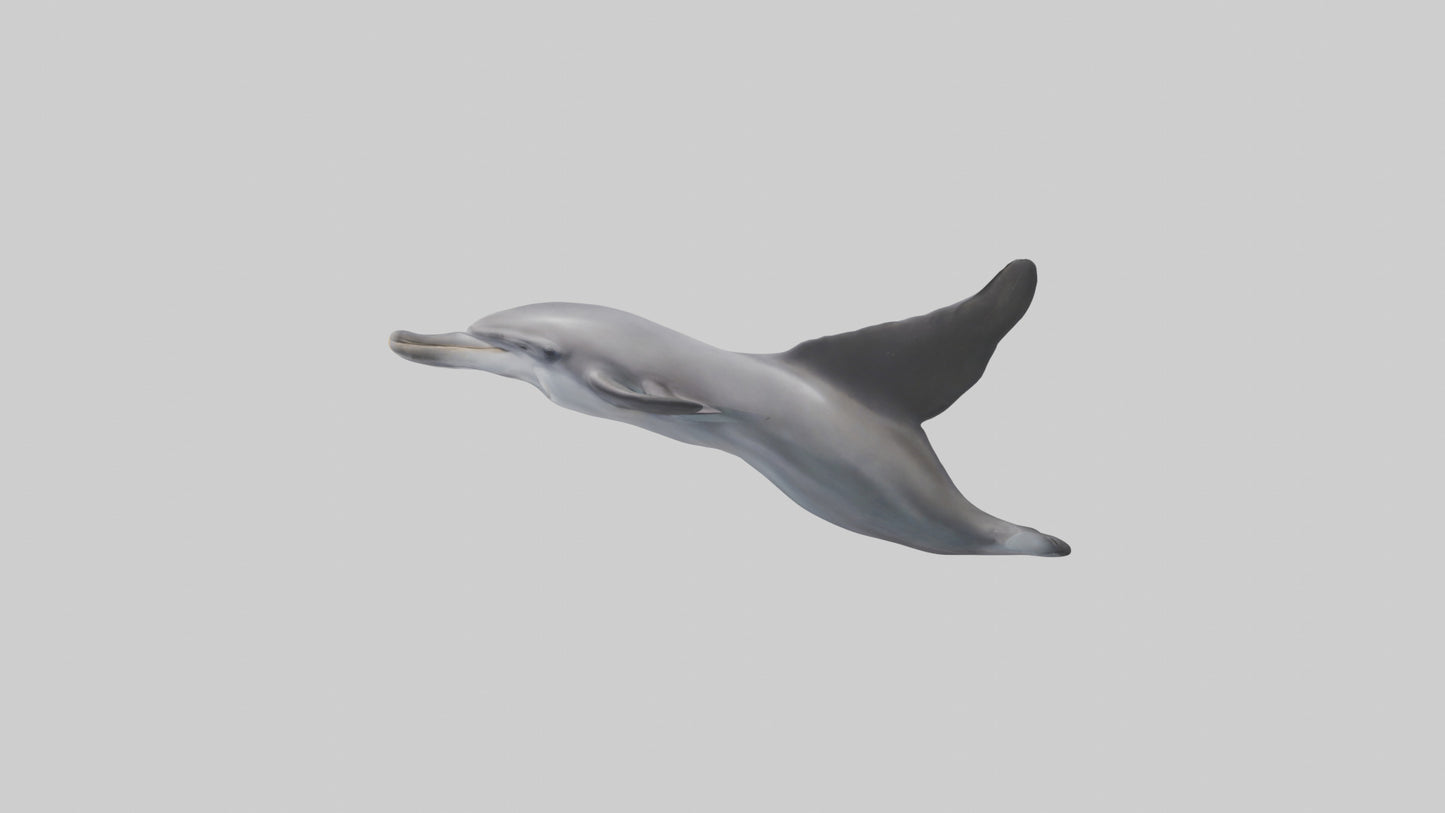 3D model Dolphin Fluke VR / AR / low-poly