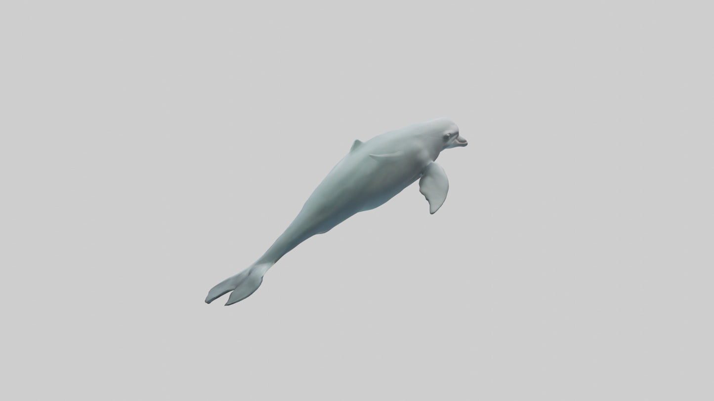 3D model Dolphin leaping model VR / AR / low-poly
