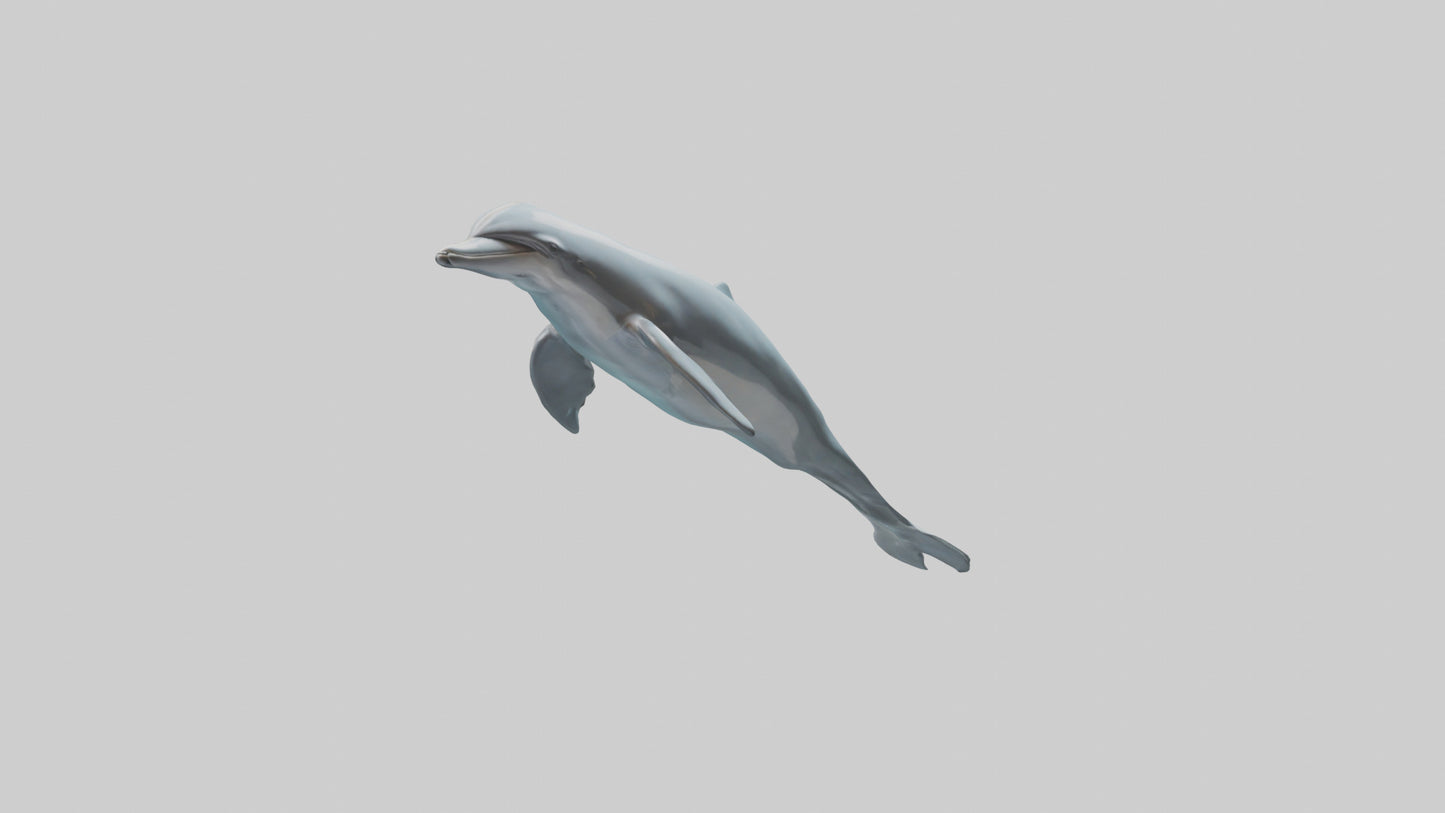 3D model Dolphin leaping model VR / AR / low-poly