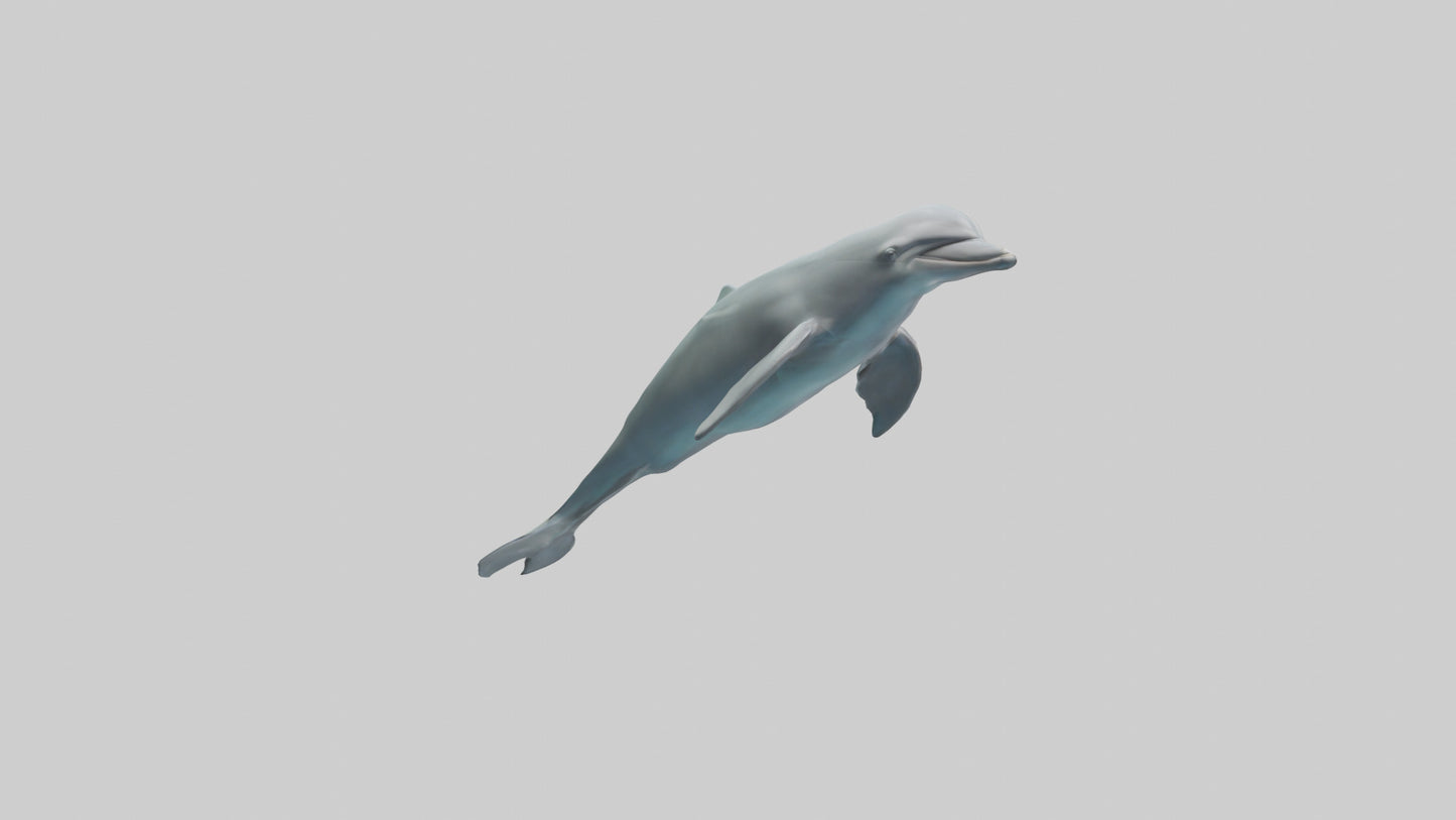 3D model Dolphin leaping model VR / AR / low-poly