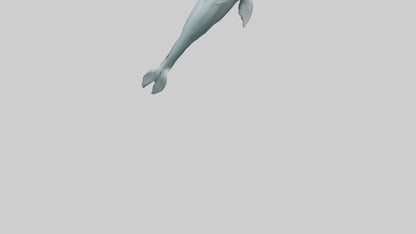3D model Dolphin leaping model VR / AR / low-poly