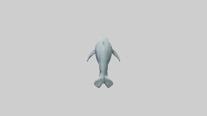 3D model Dolphin leaping model VR / AR / low-poly