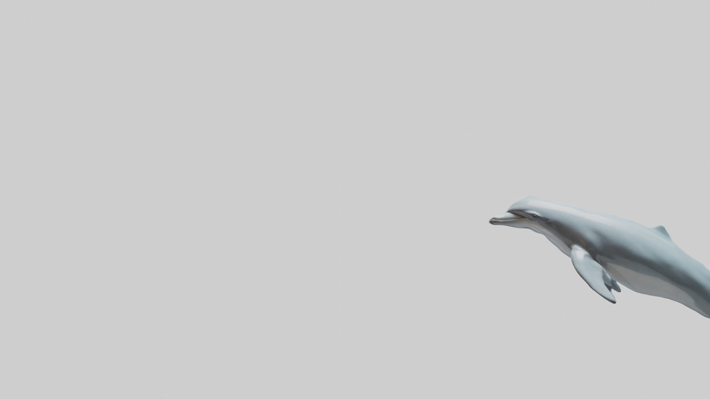 3D model Dolphin leaping model VR / AR / low-poly