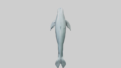 3D model Dolphin leaping model VR / AR / low-poly