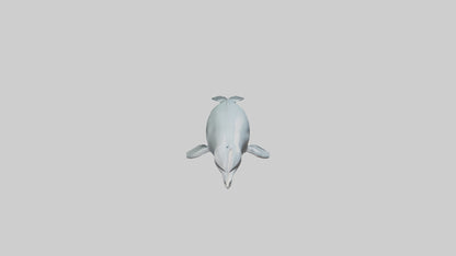 3D model Dolphin leaping model VR / AR / low-poly