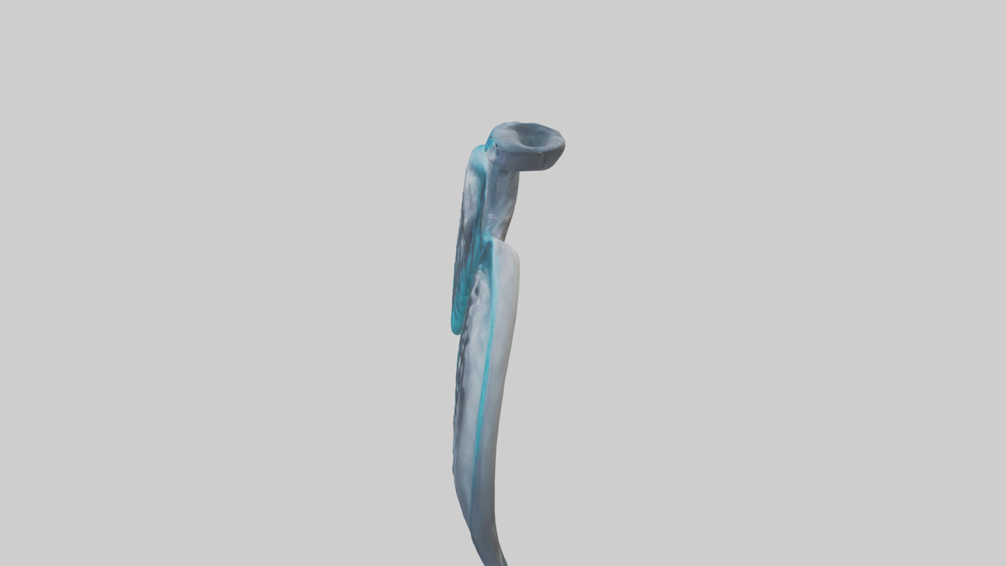 Dolphin Lungs 3D model