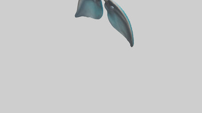 Dolphin Lungs 3D model