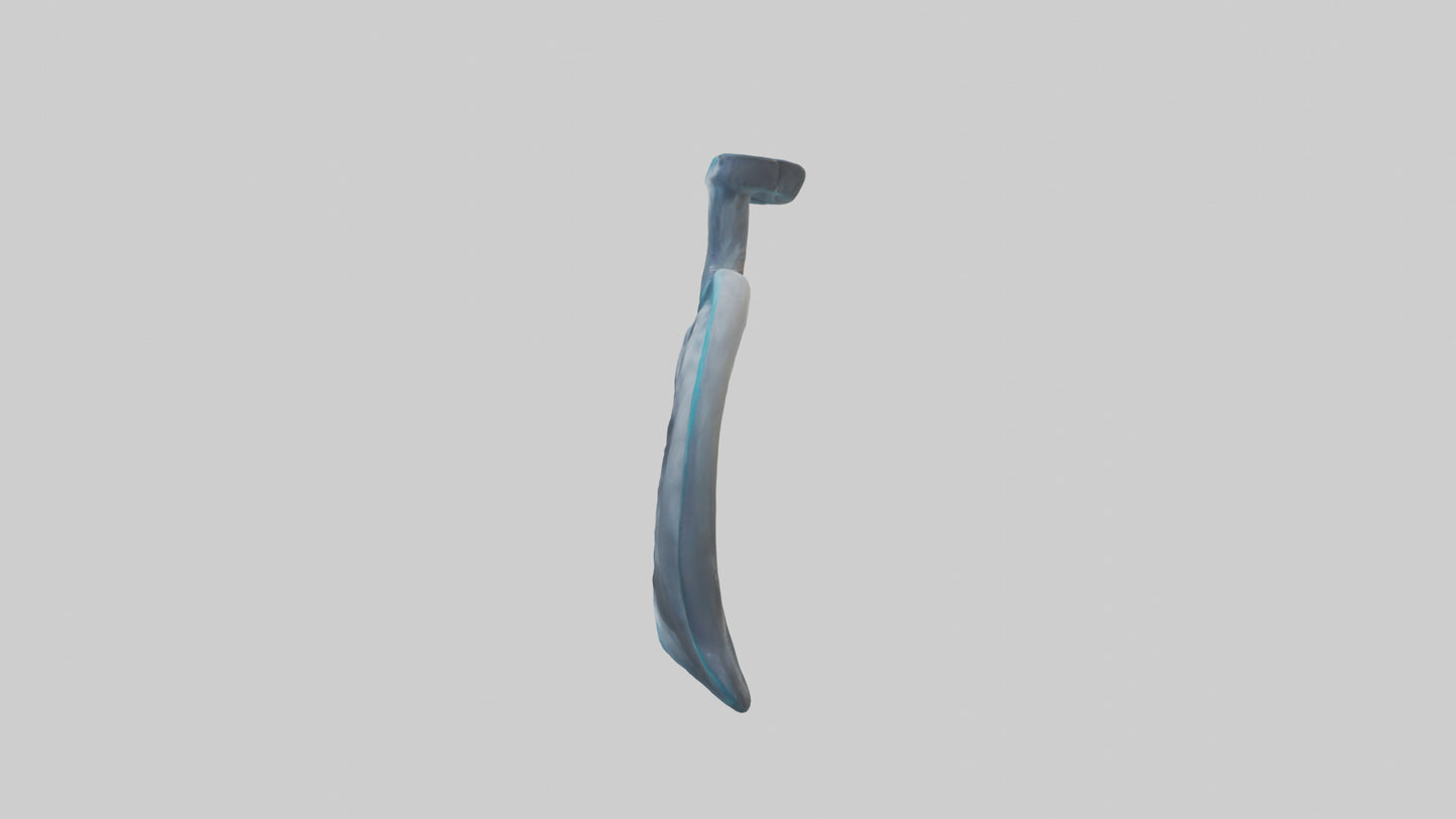 Dolphin Lungs 3D model