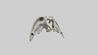 Dolphin Pelvis 3D model