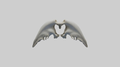 Dolphin Pelvis 3D model