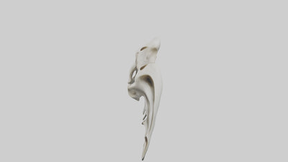 Dolphin Pelvis 3D model