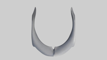 Dolphin Rib 3D model