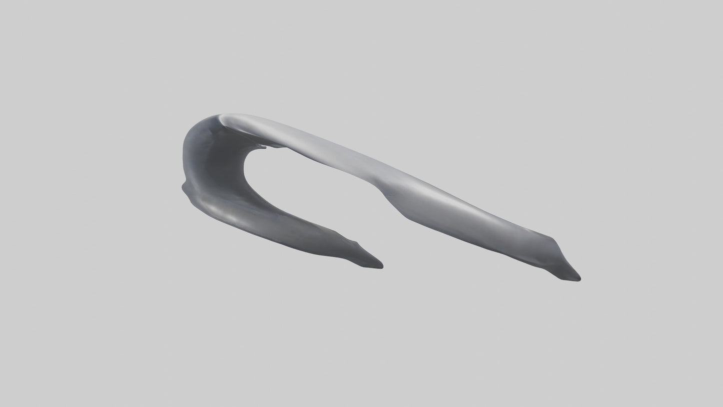 Dolphin Rib 3D model