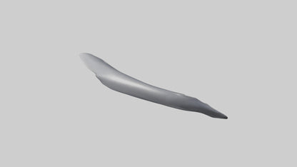 Dolphin Rib 3D model