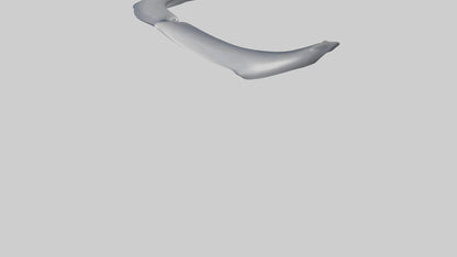 Dolphin Rib 3D model