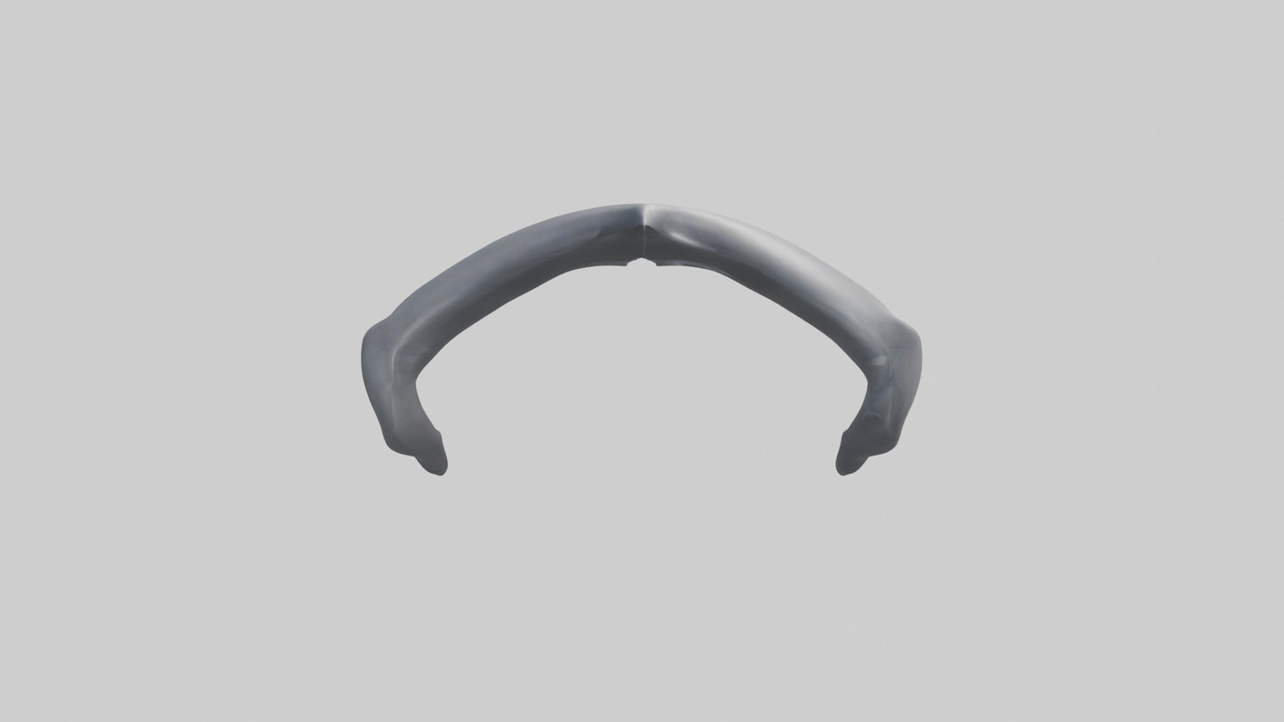 Dolphin Rib 3D model