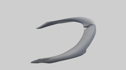 Dolphin Rib 3D model