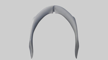 Dolphin Rib 3D model