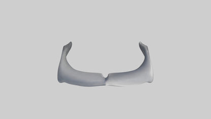 Dolphin Rib 3D model