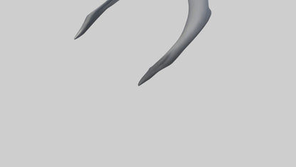 Dolphin Rib 3D model
