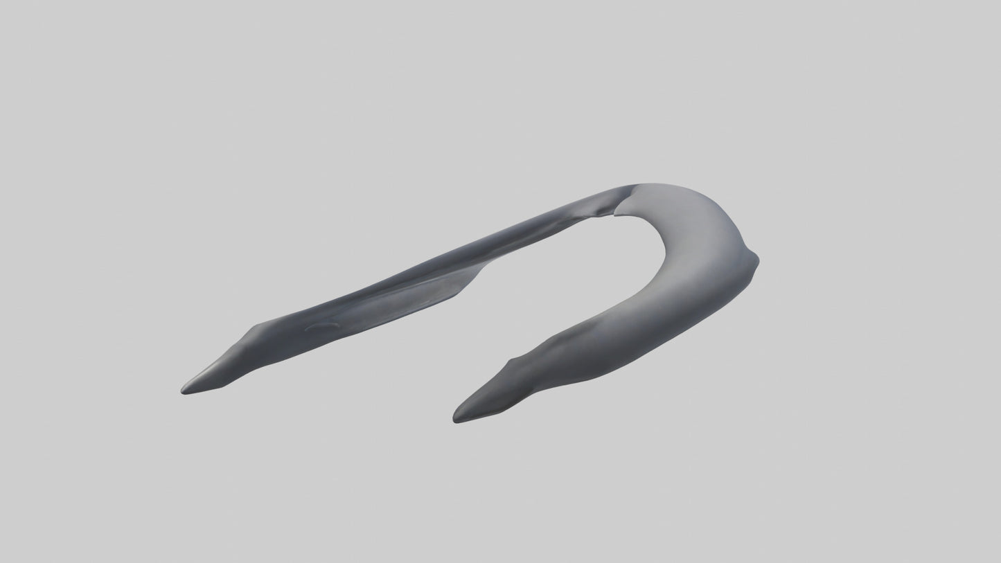 Dolphin Rib 3D model
