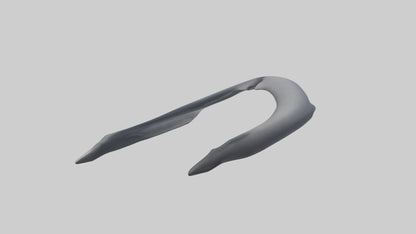 Dolphin Rib 3D model