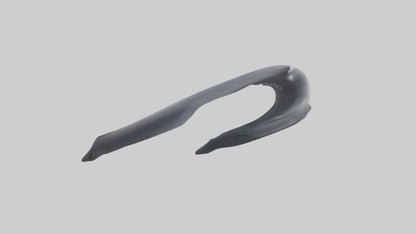 Dolphin Rib 3D model