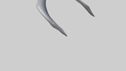 Dolphin Rib 3D model