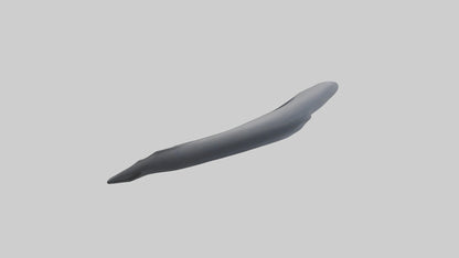 Dolphin Rib 3D model