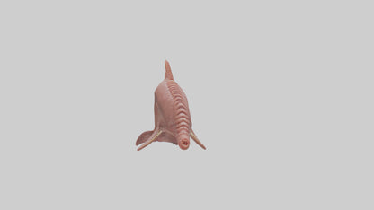 Dolphin Small Intestine VR / AR / low-poly