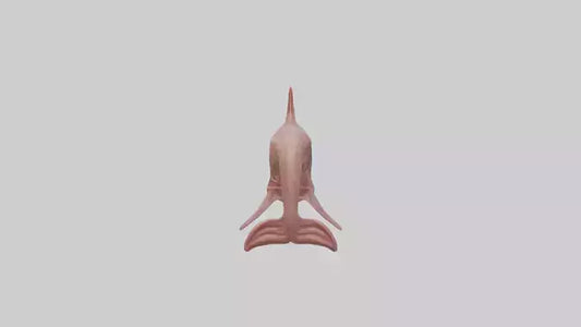 Dolphin Small Intestine VR / AR / low-poly