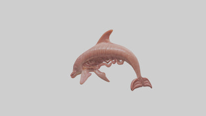 Dolphin Small Intestine VR / AR / low-poly