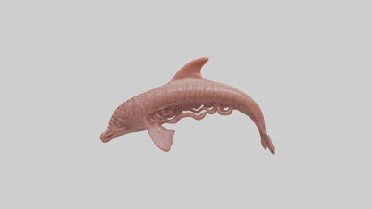Dolphin Small Intestine VR / AR / low-poly