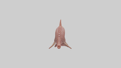 Dolphin Small Intestine VR / AR / low-poly