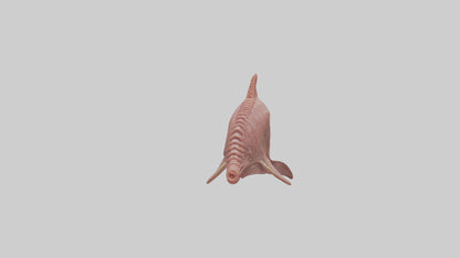 Dolphin Small Intestine VR / AR / low-poly