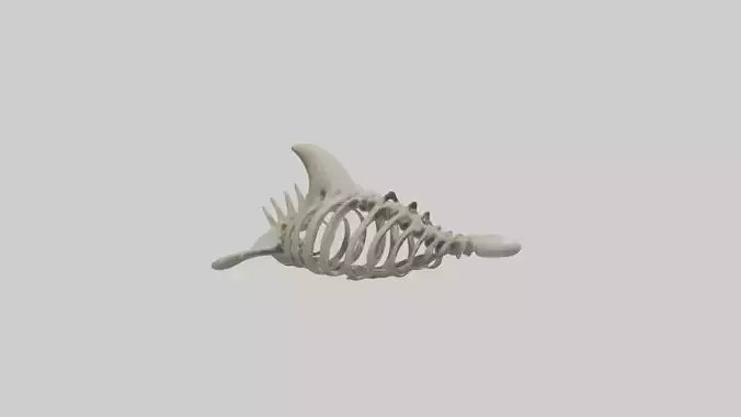 Dolphin statue model 3D model