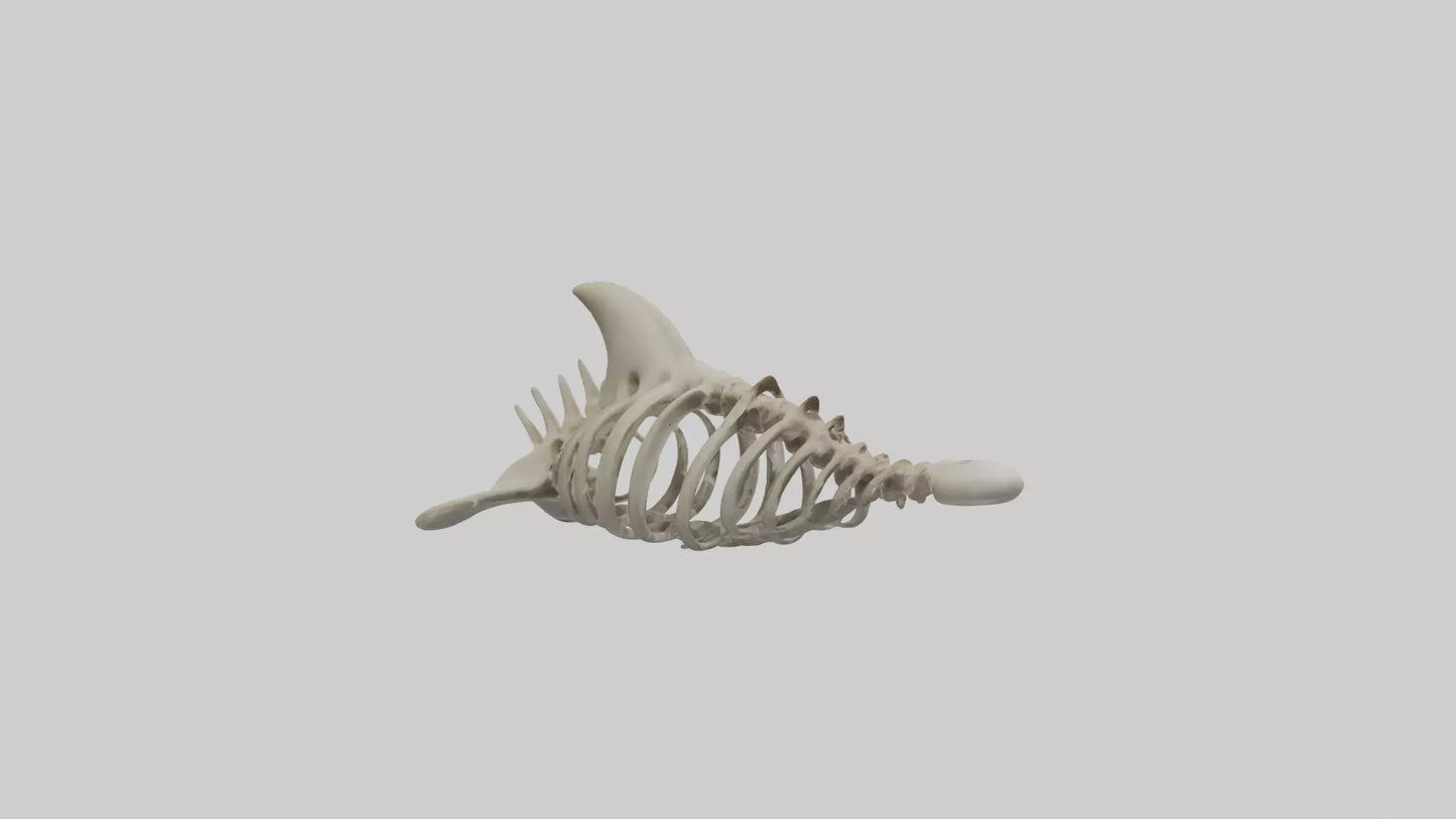 Dolphin statue model 3D model