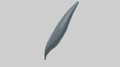 3D model Dolphin Tail Model VR / AR / low-poly