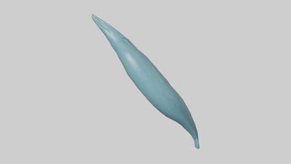 3D model Dolphin Tail Model VR / AR / low-poly