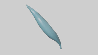 3D model Dolphin Tail Model VR / AR / low-poly