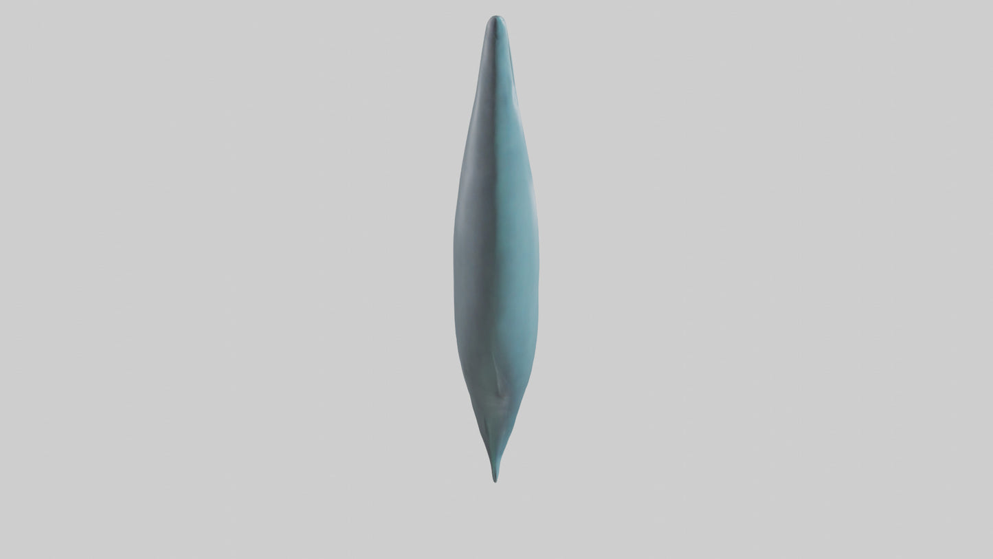 3D model Dolphin Tail Model VR / AR / low-poly