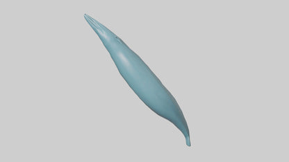 3D model Dolphin Tail Model VR / AR / low-poly