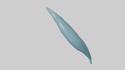 3D model Dolphin Tail Model VR / AR / low-poly