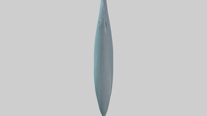 3D model Dolphin Tail Model VR / AR / low-poly